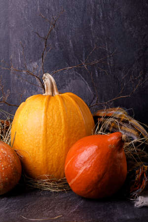 Closeup of Halloween pumpkin heads. Three orange gourds on a dark background. The concept of autumn holidays.の写真素材