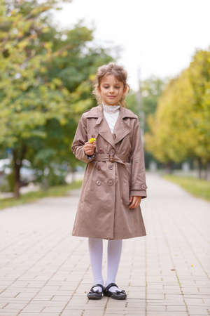 A pretty little girl in an autumn coat in the park. Autumn concept.の写真素材