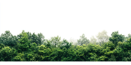 Photo of a forested area with trees and shrubs on the edge, set against a white background. Web banner with copy space in the bottom right corner. --ar 2:1 --v 6.1 Job ID: 182f3e1e-6452-411d-867c-99247d7a15a8の素材