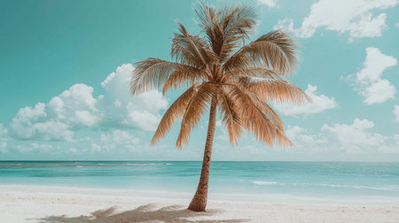 Beautiful palm tree on the white sandy beach with a blue sky and turquoise sea water in the background. Cinematic photo, in the style of Sony Alpha, super resolution, bright colors, panorama. --chaos 30 --ar 16:9 --v 6.1 Job ID: 6e599fde-2cdb-4705-a4dc-172e27e21367の素材