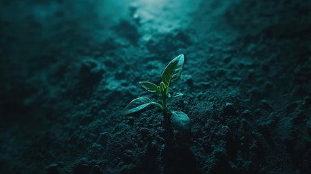 A young plant sprouting from the soil, sunlight shining through the leaves, symbolizing growth and new beginnings. --chaos 30 --ar 16:9 --v 6.1 Job ID: 5e37c222-6ff8-4265-9aaf-0564c3145b46の素材