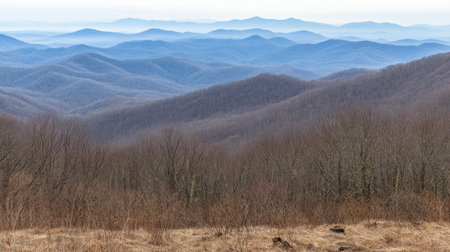Photograph of layered mountains with a forest, soft light, muted colors, dark blue and gray tones, a panoramic view, hazy, and silhouettes. --chaos 30 --ar 16:9 --v 6.1 Job ID: 80ed5534-e2dd-482a-bcf7-2f8a3eb1b01bの素材