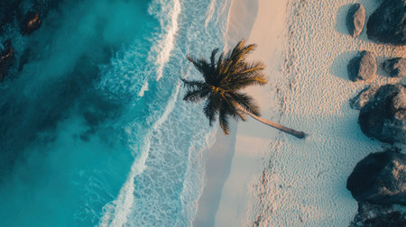 Photo of a palm tree on the beach with clear blue water and white sand, in high definition. --chaos 30 --ar 16:9 --v 6.1 Job ID: d5d3c600-ad97-46c1-90da-c98464e8668aの素材