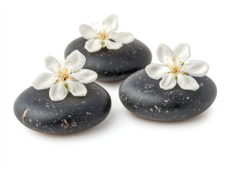 Black Zen stones with jasmine flowers isolated on a white background, a spa and wellness concept, a massage therapy or beauty salon symbol, perfect for print, web design, presentation, magazine cover, or poster, with high-resolution, professional photographs on isolated white backgrounds. --ar 4:3 --v 6.1 Job ID: 1a3ebd84-d7ec-4945-a31f-721703b86a28の素材