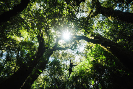 A person on an adventure park zring, walking along the balance beam high in tree tops, surrounded by lush greenery and tall trees under bright sunlight. The focus is sharp on their face as they cheer with joy while navigating through various challenges such as monkey bars or swings. Shot from below using Canon EF 24-70mm f/5 L IS USM lens at ISO160 for clarity and detail --ar 3:2 --v 6.1 Job ID: 85bac2c2-ece3-4c64-a596-2cf420d1e0ccの素材
