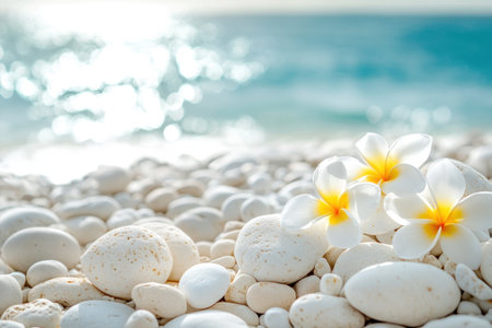White rocks and frangipani flowers on the beach with a sea background, a spa concept, beauty treatment, relaxation time, close-up, copy space, banner design. Stock photo contest winner, stock photo, photography, high resolution. --ar 3:2 --v 6.1 Job ID: 30d9d284-8de4-490c-bb66-66a47f4ebfccの素材