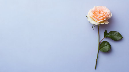 A pink rose in pastel colors on a soft purple background, symbolizing love and romance for Valentine's Day. --chaos 30 --ar 16:9 --v 6.1 Job ID: 49527e4d-ffdf-469c-a0a0-4a5ef184c94cの素材