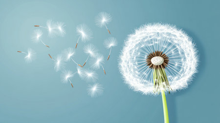 Dandelion seeds flying in the wind on a sunset sky background. Nature landscape with a beautiful dandelion flower closeup. Abstract nature concept banner. --chaos 30 --ar 16:9 --v 6.1 Job ID: 4d45dd5b-5897-4415-8060-911685578668の素材