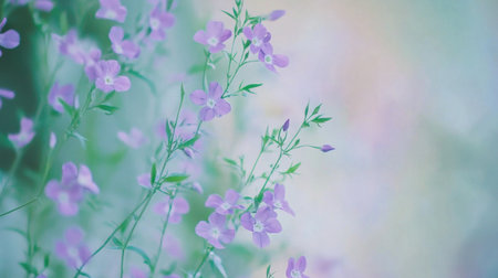 Blue and purple gradient background, blurred, minimalist style, high resolution, wallpaper --chaos 30 --ar 16:9 --v 6.1 Job ID: 1709cca2-7a24-44da-b3c5-95d3103ee945の素材