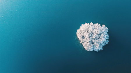 A white, circular shape in the center of blue water, viewed from above, a close-up, high-resolution photograph. --chaos 30 --ar 16:9 --v 6.1 Job ID: df229817-099b-40ee-ba6a-b3ca4b8b07aeの素材
