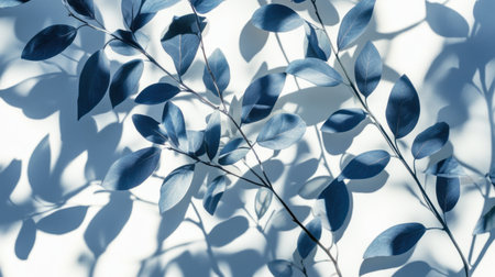 A white background with the shadow of leaves and branches, soft-focus photography, realistic. --chaos 30 --ar 16:9 --v 6.1 Job ID: a824505a-6f4a-4724-ac1a-2f8d1f6889b0の素材