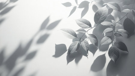 Abstract shadows of leaves on a white background, with a gray and soft light, soft focus, and a blurred, shadow overlay effect. --chaos 30 --ar 16:9 --v 6.1 Job ID: 03eb58da-6f06-4e07-aae8-31dc3908cd69の素材