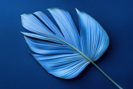 Blue palm leaf on a dark blue background, an abstract tropical nature concept, ultra-realistic photography. --ar 3:2 --v 6.1 Job ID: 10971490-9ca7-4e9b-b36f-23943f5c0f60の素材