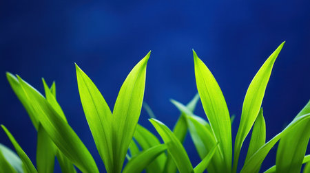 A close-up of green leaves, symbolizing nature and health. The background is a dark blue with blurred plants in the foreground. --chaos 30 --ar 16:9 --v 6.1 Job ID: ec624c04-3169-4923-af77-3283a251875bの素材