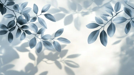 Abstract background with the shadow of leaves on a white wall, blurred gray foliage branches casting shadows, a soft light and shadow effect for a nature concept. Blurred shadow of a tree branch. --chaos 30 --ar 16:9 --v 6.1 Job ID: e89a652a-ba7a-44c4-a830-7e5fc2d86203の素材