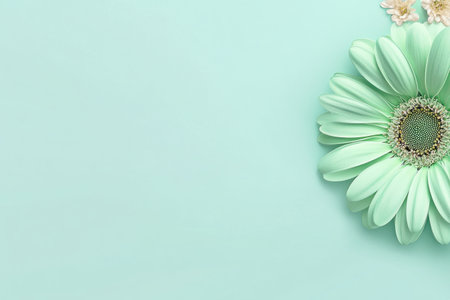 Photo of a single pastel green gerbera daisy on the left side, with space for text on a light mint background. Web banner with copy space on the right. --ar 3:2 --v 6.1 Job ID: 27e39eab-6386-45a1-8403-1f203776db52の素材