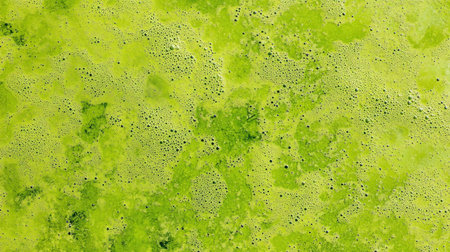 Light green water texture, top view, light reflections, flat lay, high-resolution photography, incredibly detailed --chaos 30 --ar 16:9 --v 6.1 Job ID: 6560c1d2-006d-456b-837e-ba502db5fddfの素材