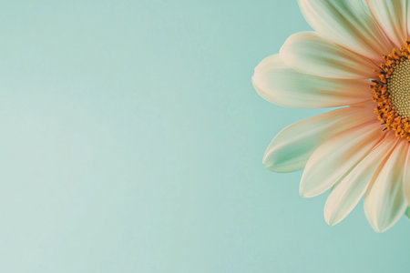 Photo of a single pastel green gerbera daisy on the left side, with space for text on a light mint background. Web banner with copy space on the right. --ar 3:2 --v 6.1 Job ID: 27e39eab-6386-45a1-8403-1f203776db52の素材