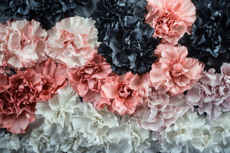 A large arrangement of carnations in various shades of pink, white, and black, arranged to create an artistic pattern on the wall behind them. The flowers have ruffled petals that give depth and dimension to their colors. This is a close-up shot capturing intricate details such as petal textures and subtle color gradation. --ar 3:2 --v 6.1 Job ID: 84bdac61-1e84-4f86-9769-57e150f4dd8aの素材