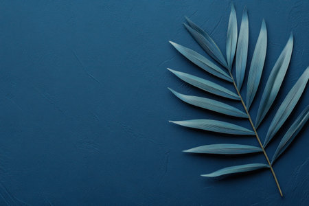 Blue palm leaf on a dark blue background, close-up. Minimalist style banner with copy space for text. Navy blue textured background design concept. --ar 3:2 --v 6.1 Job ID: e124c3b6-7075-4c54-83c4-cf9a4bdbebcaの素材