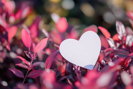 A white heart-shaped card in the center of an out-of-focus pink bush with purple leaves. Valentine's Day concept, blurred background, copy space for text. High-resolution photography, professional color grading, soft shadows, low contrast, clean sharp focus. --ar 3:2 --v 6.1 Job ID: b98aa600-8539-4cdd-906a-6de50c05c9d5の素材