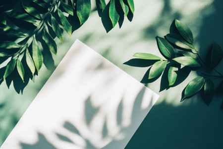 Paper sheets on a green and white background with a shadow, in a flat lay arrangement. --ar 3:2 --v 6.1 Job ID: 8ba76b5f-640d-424f-8ce5-3ee607db81c7の素材