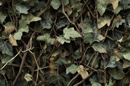 A camouflage pattern with leaves and branches, such as the 'Realwood' style in the style of Realwear Green camo. --ar 3:2 --v 6.1 Job ID: 7a844a74-a8a6-4f6f-9524-e8ef78561e6cの素材