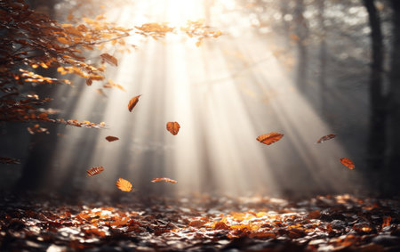 This image presents an autumnal forest scene, illuminated by strong beams of sunlight. Falling leaves create a sense of motion against a blurred background. The composition uses natural colors, with focus on the sunlight filtering down, suitable for various editorial and commercial applications.の素材