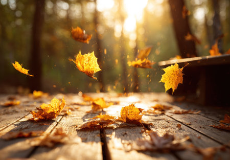 Golden leaves swirl in a forest, sunlight streams, illuminating a wooden surfaceの素材