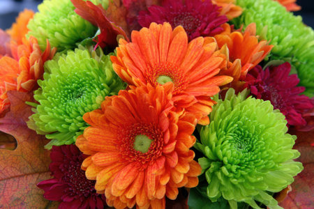 Close-up of a vibrant bouquet of diverse flowers in autumnal hues, with colorful foliageの素材