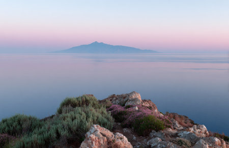 Rocky outcrop with plants overlooks calm ocean toward a distant island under pastel skyの素材