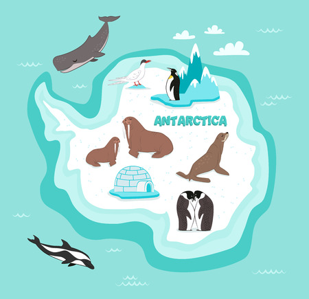 Antarctic continent map with wildlife animals vector illustration. Dolphin, sperm whale, emperor penguin, seal, walrus in cartoon style. Antarctic snowbound continent in blue ocean with wild animalsの写真素材