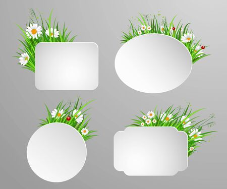 Green grass and chamomile flower frame with copy space isolated on white background vector illustration. Realistic green spring design, floral eco nature concept, fresh summer environment templateのイラスト素材