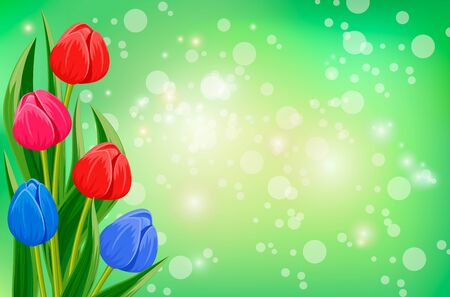Spring banner with blooming tulip flowersのイラスト素材