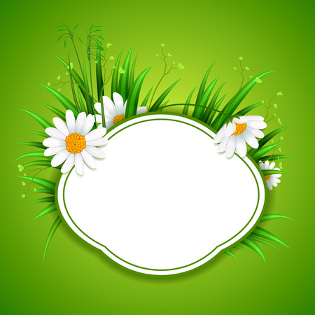 Circle grass and chamomile flower frameのイラスト素材