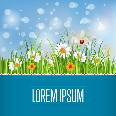 Spring banner with blooming chamomile flower and green grass on blurred background vector illustration. Floral decorated spring design for holiday, romantic celebration card template with copy spaceのイラスト素材