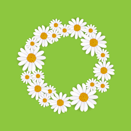 Spring round frame with blooming chamomile flower vector illustration. Floral decorated spring design, romantic celebration template, feast congratulation, nature seasonal flowering backgroundのイラスト素材