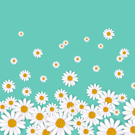 Spring background with blooming chamomile flower vector illustration. Floral decorated spring design, romantic celebration template, feast congratulation, nature seasonal flowering backdropのイラスト素材