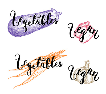 Healthy vegetable hand drawn market label set. Vegetarian product vector illustration, fresh and natural vegan food lettering, shop advertising elements. Carrot, pepper, garlic, eggplant sketches.のイラスト素材