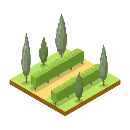 Park alley with trees isometric 3D icon. Public park decorative plant and green grass vector illustration. Nature map element for summer parkland landscape design.のイラスト素材