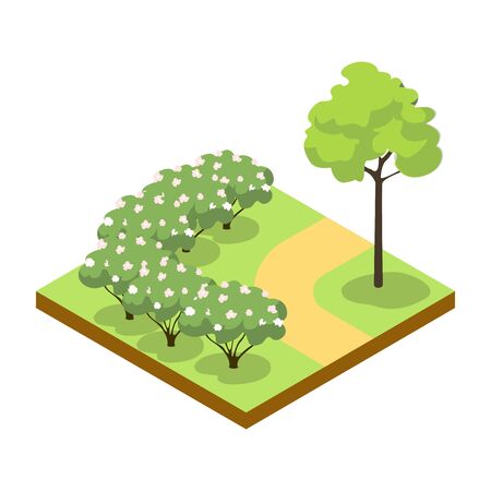 Park alley with bushes and tree isometric 3D icon. Decorative plant and green grass vector illustration. Nature map element for summer parkland landscape design.のイラスト素材