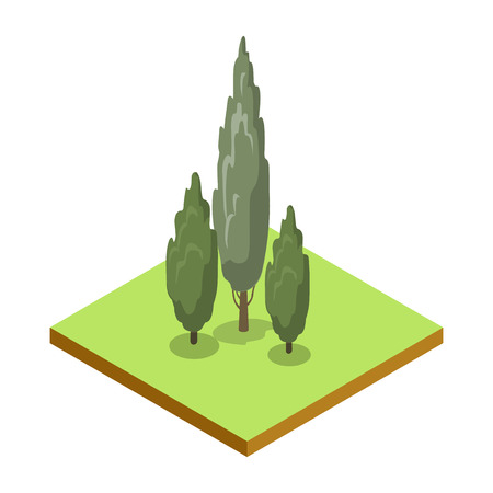 Poplar tree isometric 3D icon. Public park plant and green grass vector illustration. Nature map element for summer parkland landscape design.のイラスト素材