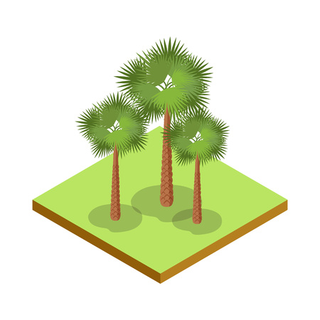 Palm tree isometric 3D icon. Public park plant and green grass vector illustration. Nature map element for summer parkland landscape design.のイラスト素材