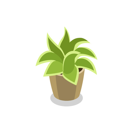 Green plant in pot isometric 3D icon. Nature symbol, houseplant object, floral interior decoration design element vector illustration.のイラスト素材