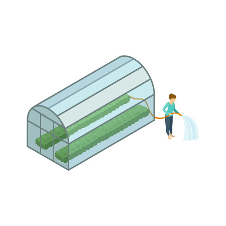 Woman working in greenhouse isometric element.のイラスト素材