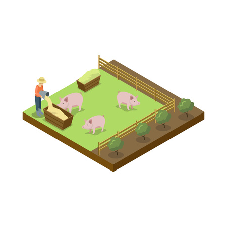 Pigs breeding on ranch isometric element.のイラスト素材