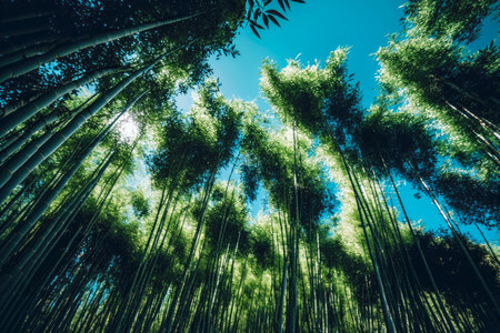 bamboo forest trees with overgrown grass and leaves against blue sky, generative aiの素材