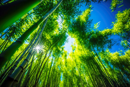 bamboo forest trees with overgrown grass and leaves against blue sky, generative aiの素材