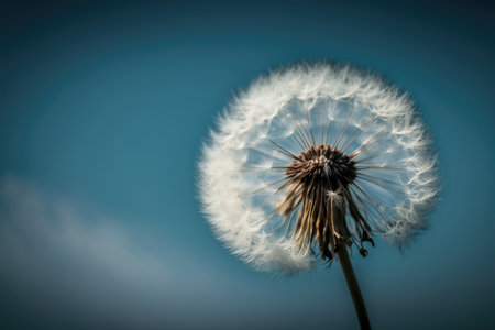 dandelion seed head blowing in the wind against blue sky, created with generative aiの素材