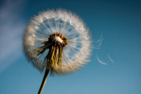 dandelion seed head blowing in the wind, with blue sky in the background, created with generative aiの素材